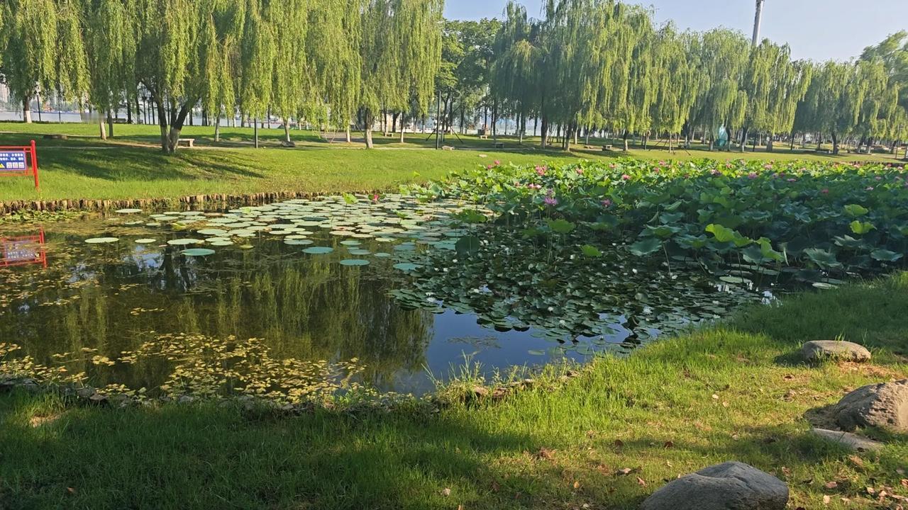 综合当前发展趋势研判，未来十年中国空军的建设步伐将极为迅猛，展现出全面超越传统强