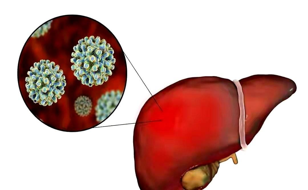 广生堂这回，是直接冲着乙肝的“老巢”去的。他们手里的牌，不是一张，是两张。一个