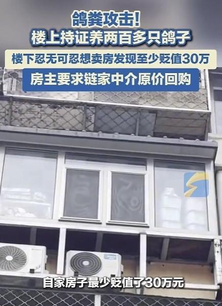 北京，男子7年前花235万买下的房子，却被楼上养的200多只鸽子搞得无法正常生活