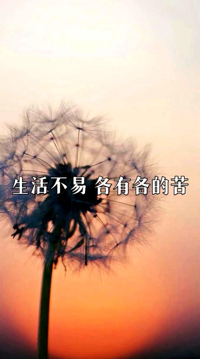 当餐桌上传来“姑姑我长大给你养老”时，屋里像被掀了锅。弟媳啪地落筷，厉声质问；