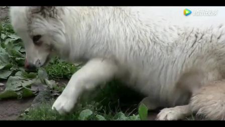 11186634278515954921.jpg?id=0