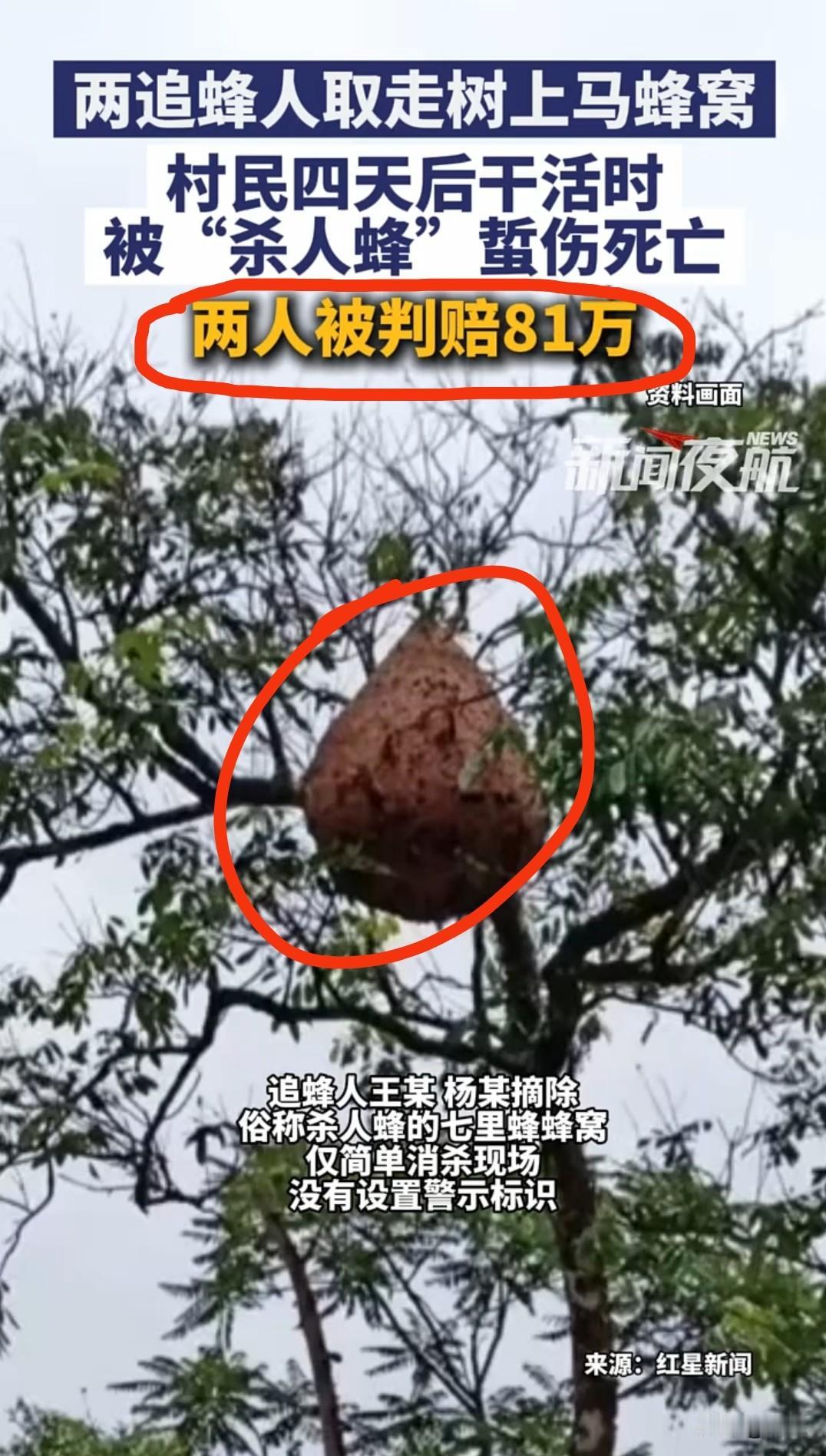 贵州湄潭发生一桩民事案件追蜂的两人被判赔偿81万你觉得他们冤不冤？贵州湄
