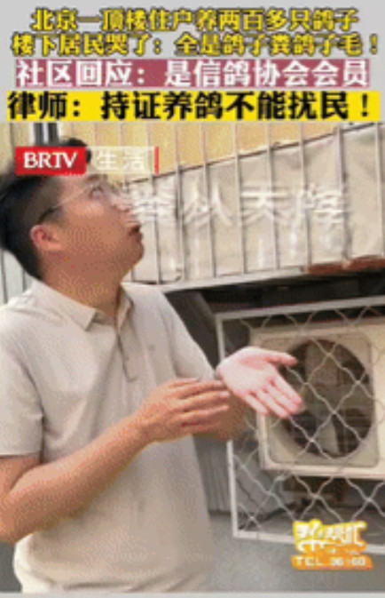 “缺德到家了！”北京，男子花235万买了一套新房，却被楼上邻居养的200多只鸽子