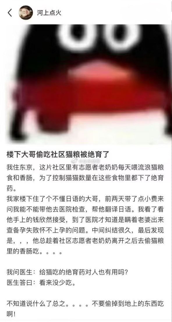 楼下大哥偷吃社区猫粮被绝育了