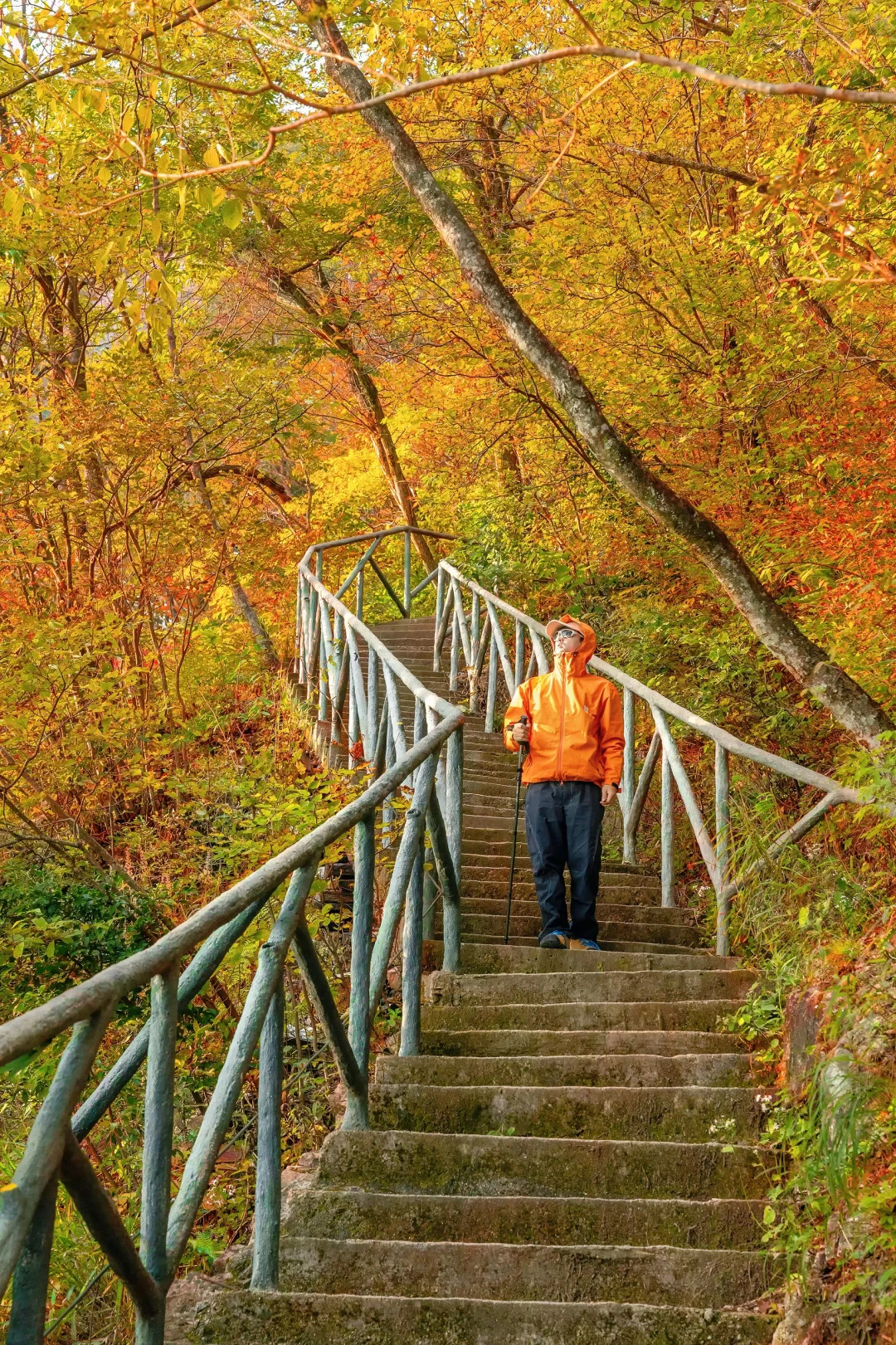 推荐一个小众冷门但秋色超级震撼的地方‼️‼️