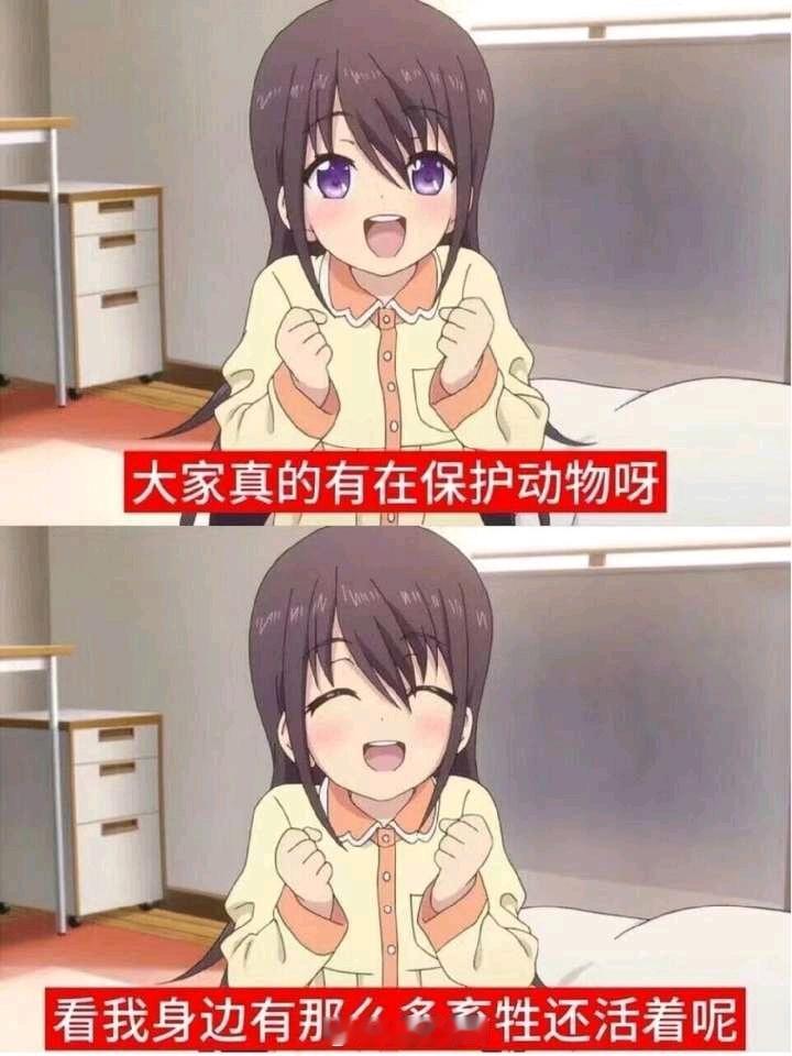 哟是“绝对防御圈”耶，太平洋战争，老活动复刻了？日系车溃败