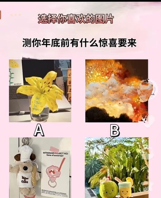 心理测试1482，选出你喜欢的图片，测试你年底前有什么惊喜要来？#晒图笔记大赛#