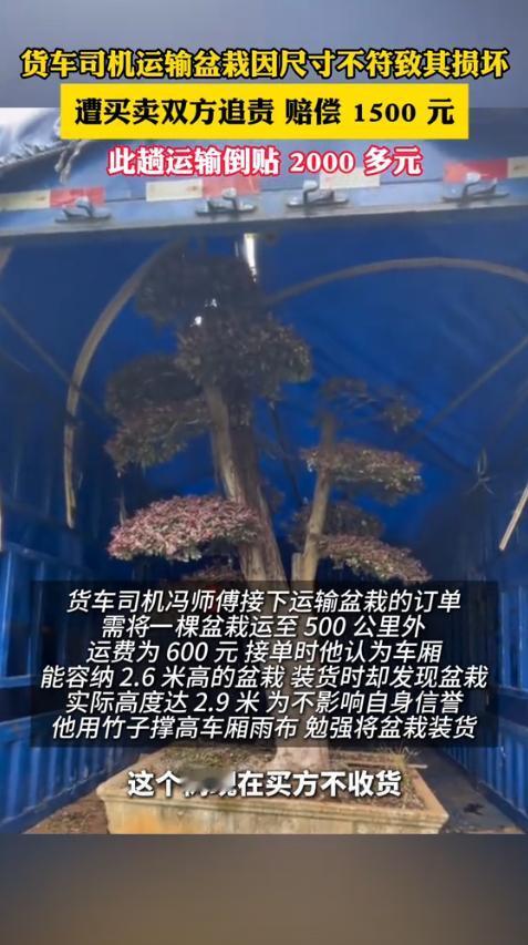 安徽六安，男子接了一个单，是运一棵盆栽到买主那里，500公里的路程，运费是600
