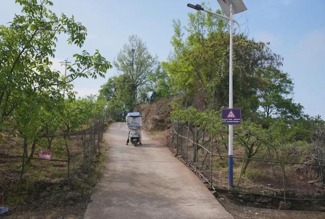 “无理取闹？”四川成都，73岁老人和骑友团4人赏完桃花，返回时眼看要下雨，大家决