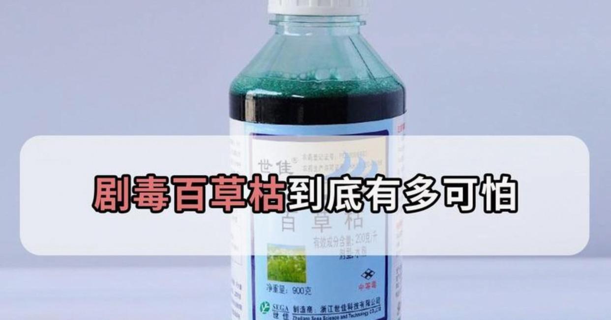 百草枯泡内裤！浙江一名男子穿上被百草枯浸泡的内裤，仅一天后肺部就遭受永久性损伤。