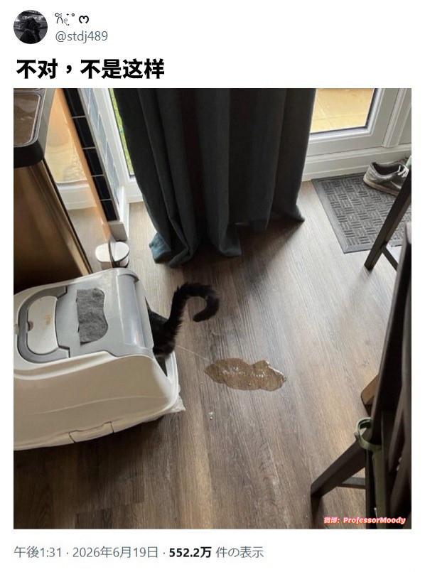 不是、等下meme