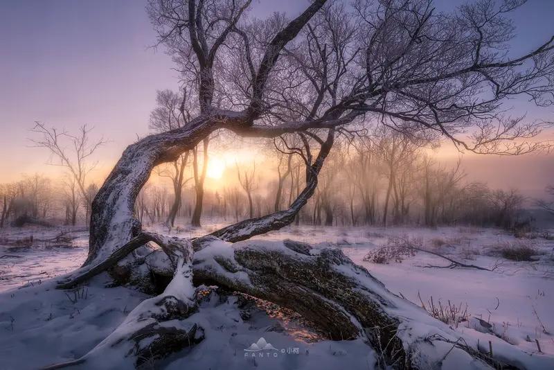 对联这玩意儿，真的魅力无穷！像“寒风欺老树”这上联，就很有意境，感觉那老树在寒风