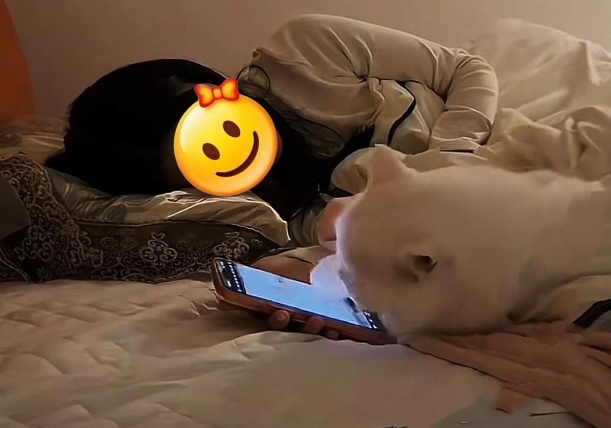 猫成精了？广东女子睡梦中，猫咪竟偷刷一整晚手机！广东这只猫咪，直接把“成精”
