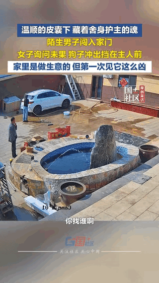 忠犬护主！山东女子院内洗车遇惊魂一刻，忠心伙伴怒赶可疑男子太有灵性了，山东，