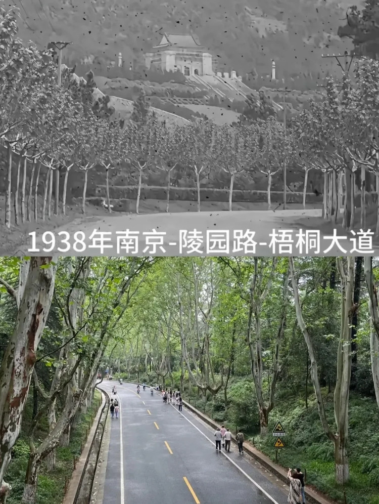 同一个地方，这可是相隔了80年。[大笑][大笑][大笑]