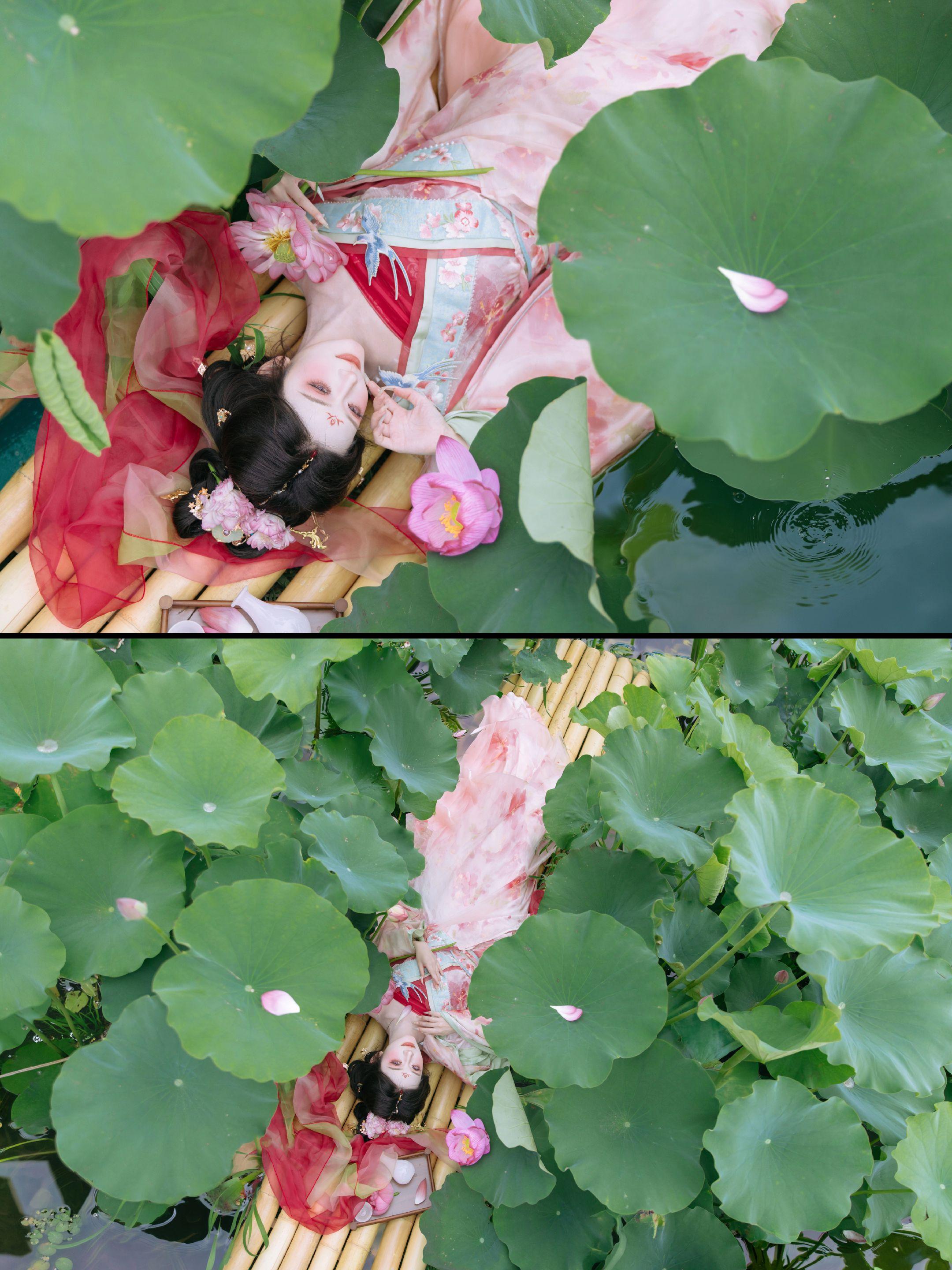 误入藕花深处。摄影：本人 出镜