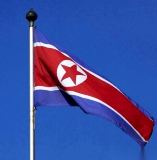 去了1.5万精锐，倒下了7000多。几乎一半的人，折在了异国他乡的冻土上。刚