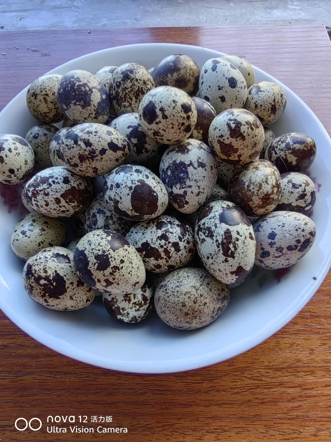 你认为年味越来越淡的原因是什么现在的生活非常富裕。鸡，鸭，鱼，肉。牛肉，羊肉，虾