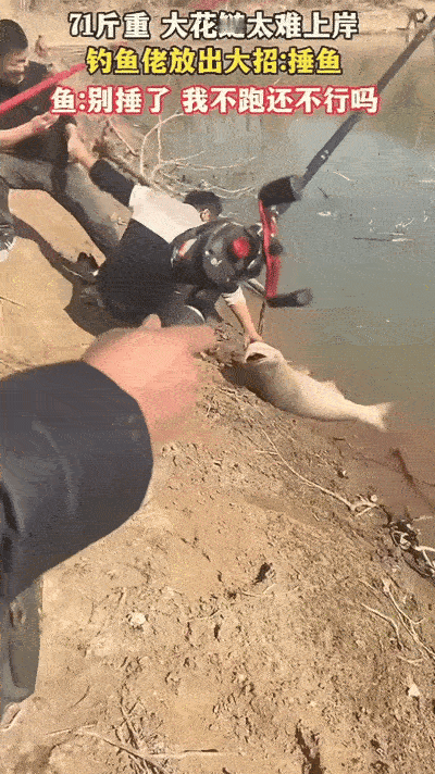 前些天河北有个男的去野坑钓鱼，竿子突然被挂住以为是底下的杂物。结果一拉感觉特别沉