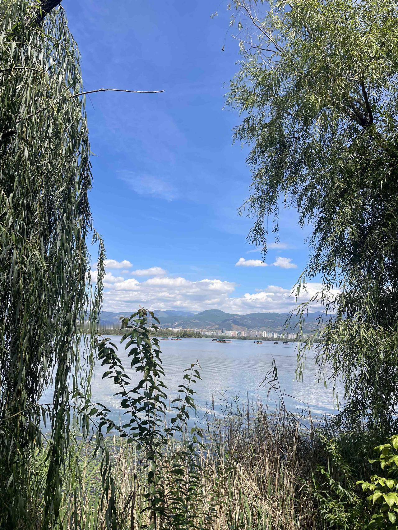 老师最浪费课堂时间的10个习惯！快来自查！教书这么多年，最怕的就是一节课下来，