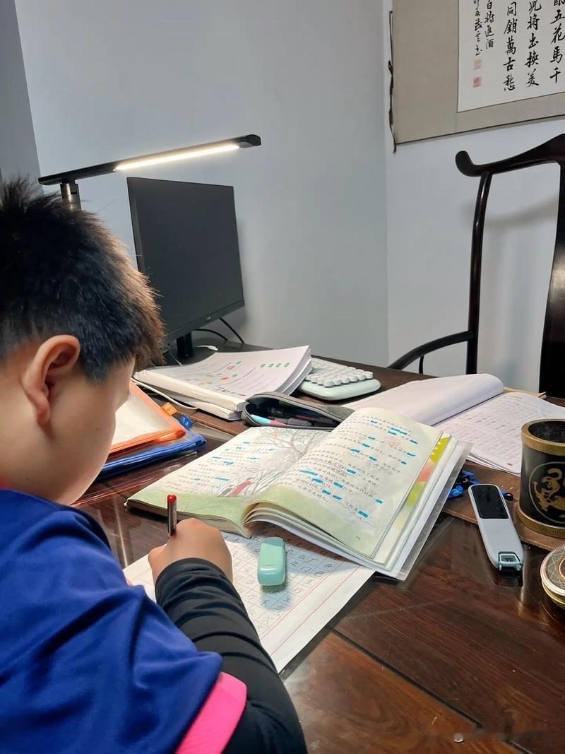 主张孩子自学的都是站着说话不腰疼的，我们家长天天上班，哪有时间陪着孩子自学，给他