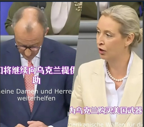 德国铁娘子魏德尔发表惊人言论：领导人应该是利己主义者近日，德国铁娘子魏德尔在议