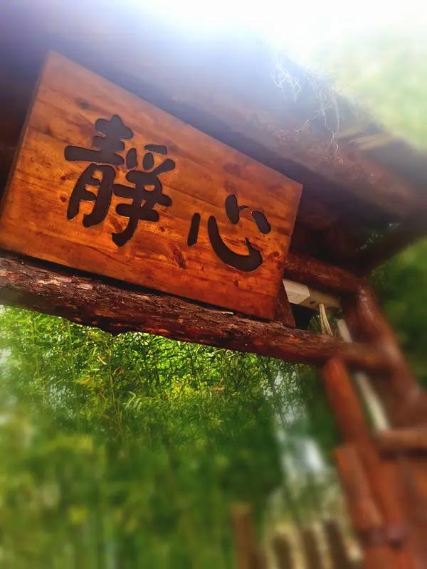 觉醒后，要坚定相信，一切相遇，都是你前行路上的助缘！遭遇苦难，会加持你