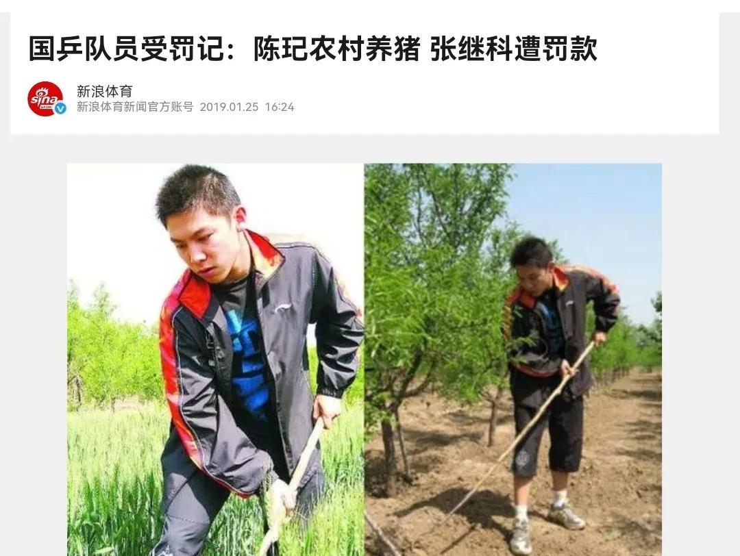 国际比赛禁赛是竞体里常见的一种“处罚”措施，国乒里有非常多被禁止参加国际比赛的先