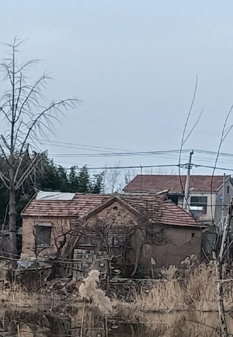 现在总有人问，公婆手里有20万或30万养老钱宁愿存在银行，也不愿意拿出来帮衬儿女
