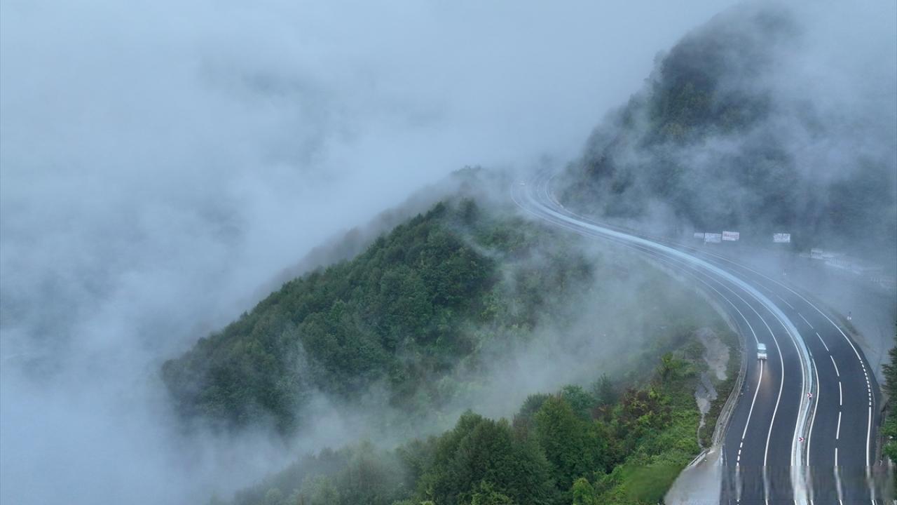 【博鲁山的大雾】博鲁山区域被大雾笼罩，朦胧雾景之下，D-100高速公路博鲁山路