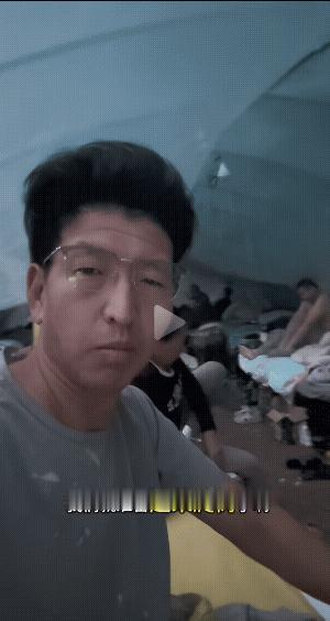 在东北最赚钱的就是打松塔，这个山是五林洞博主他们花200万一年承包的，天不亮