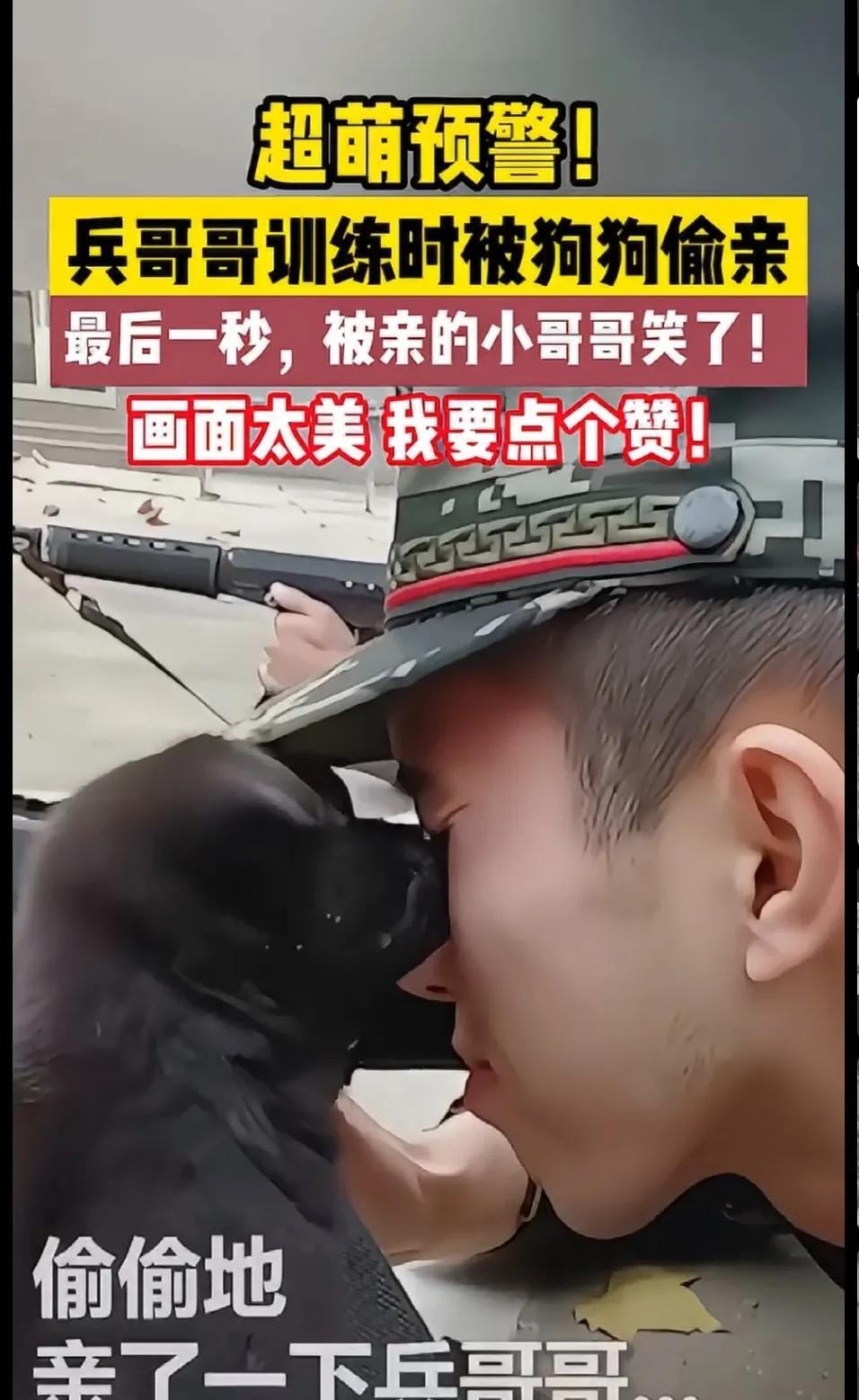 拥军狗！兵哥哥在训练场进行射击动作训练，突然两只小狗闯入，直接和兵哥哥一阵亲密互