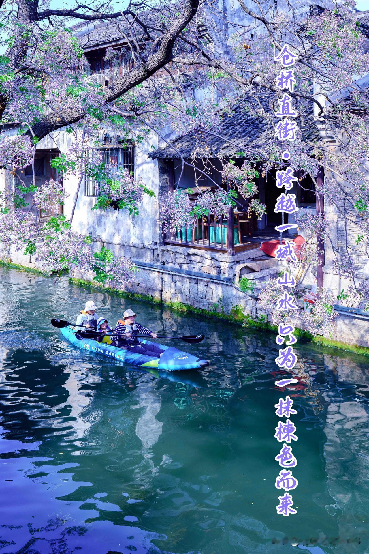绍兴仓桥直街｜跨越一城山水只为一抹楝色而来时隔两年，再度踏足绍兴。自金陵奔