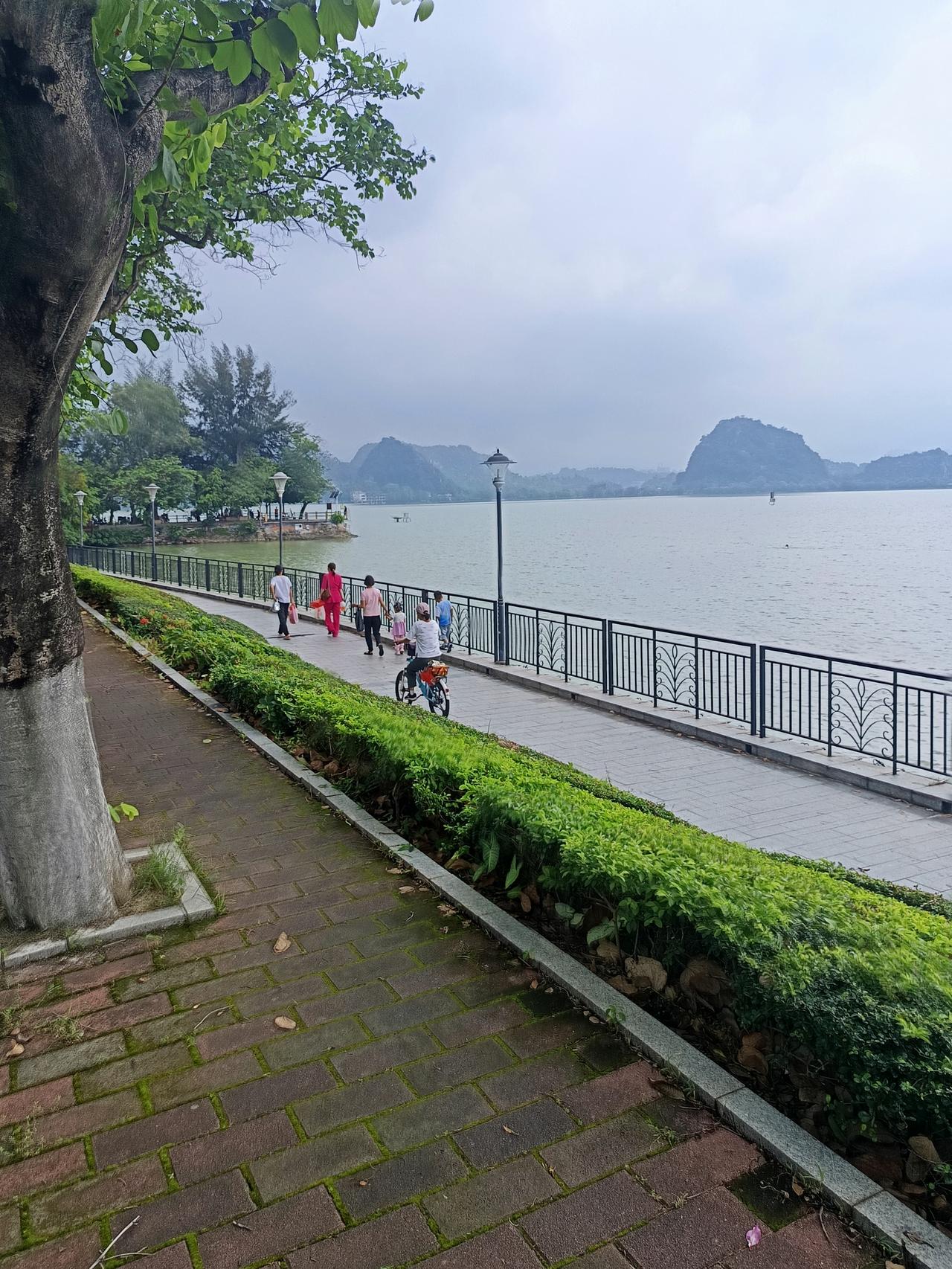 我在广东肇庆星湖边发现一个很严重的问题但不知道怎么说才好你敢相信吗