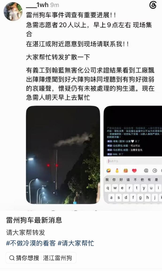 这ip演都不演了