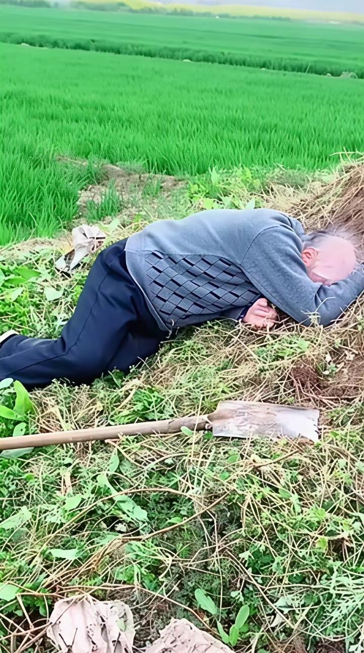 清明了，从朋友口中听到一个故事，瞬间让我泪目。说一位八旬老人执意要去给自己的父