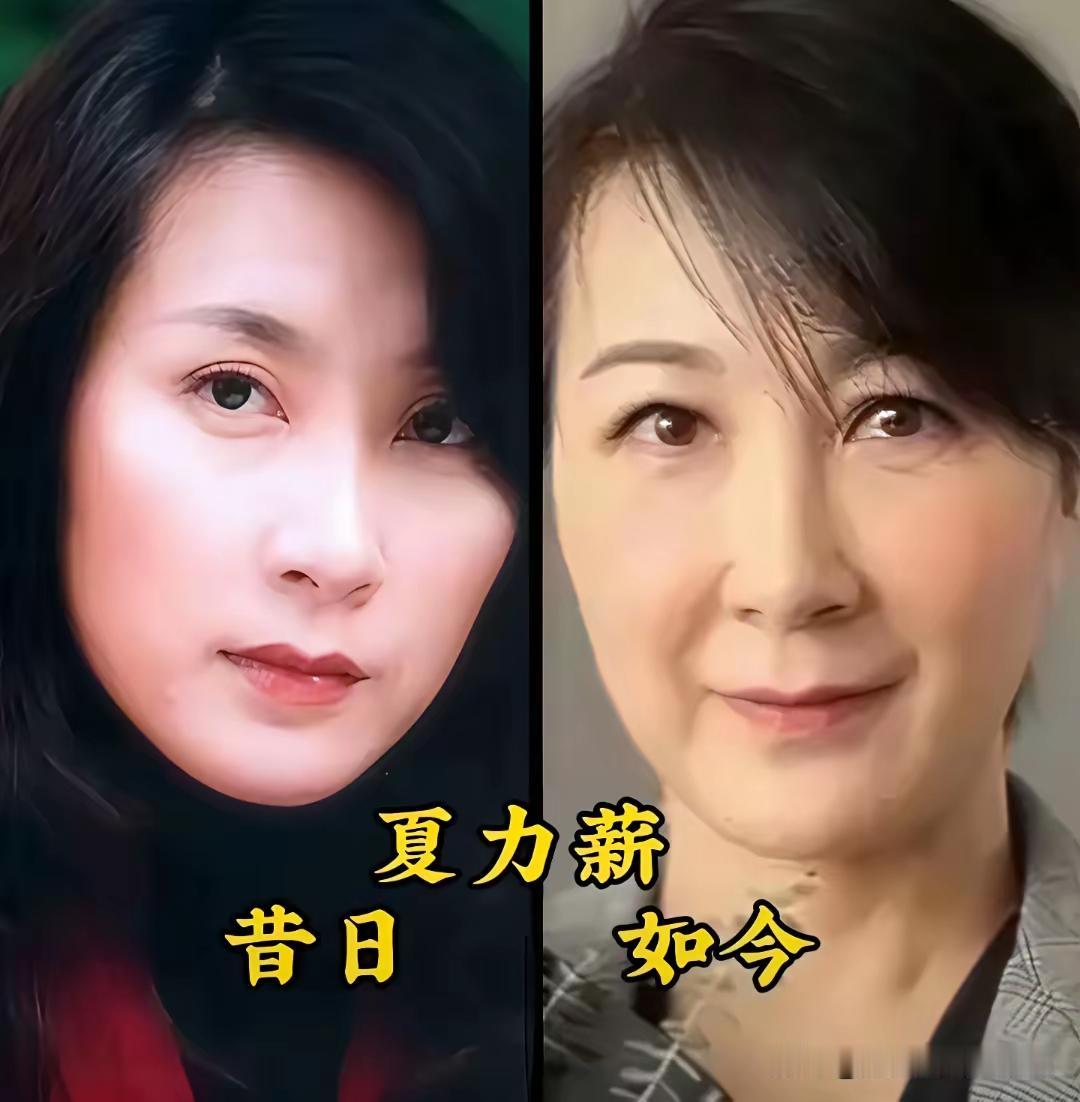女演员年轻与现在时候的对比。不管年轻还是现在，漂亮一如往昔的是吴玉芳，气质随着年