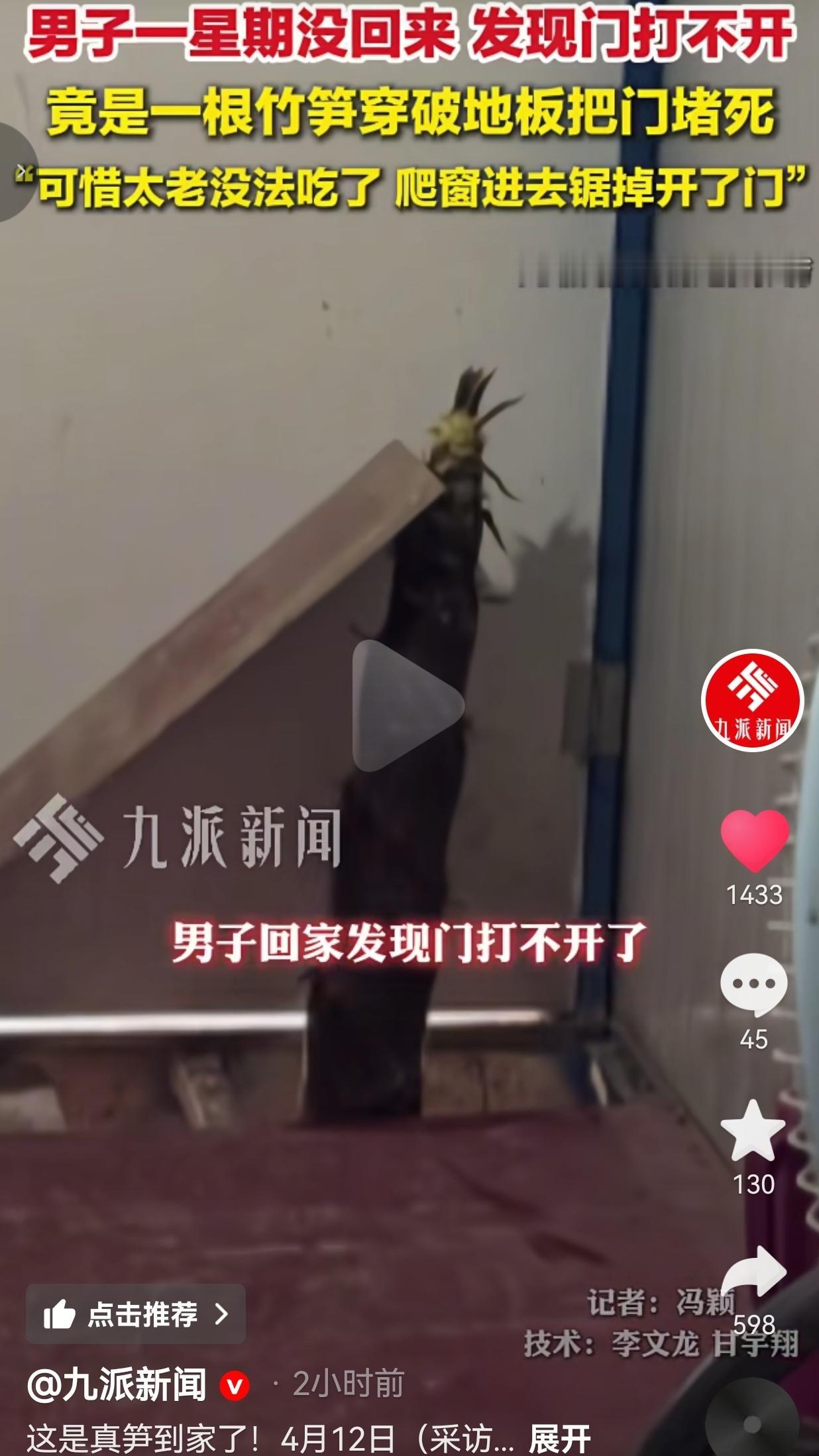 笑疯了！男子出差一周回家，门直接被竹笋堵死！这才是真·笋到家了！4月12日