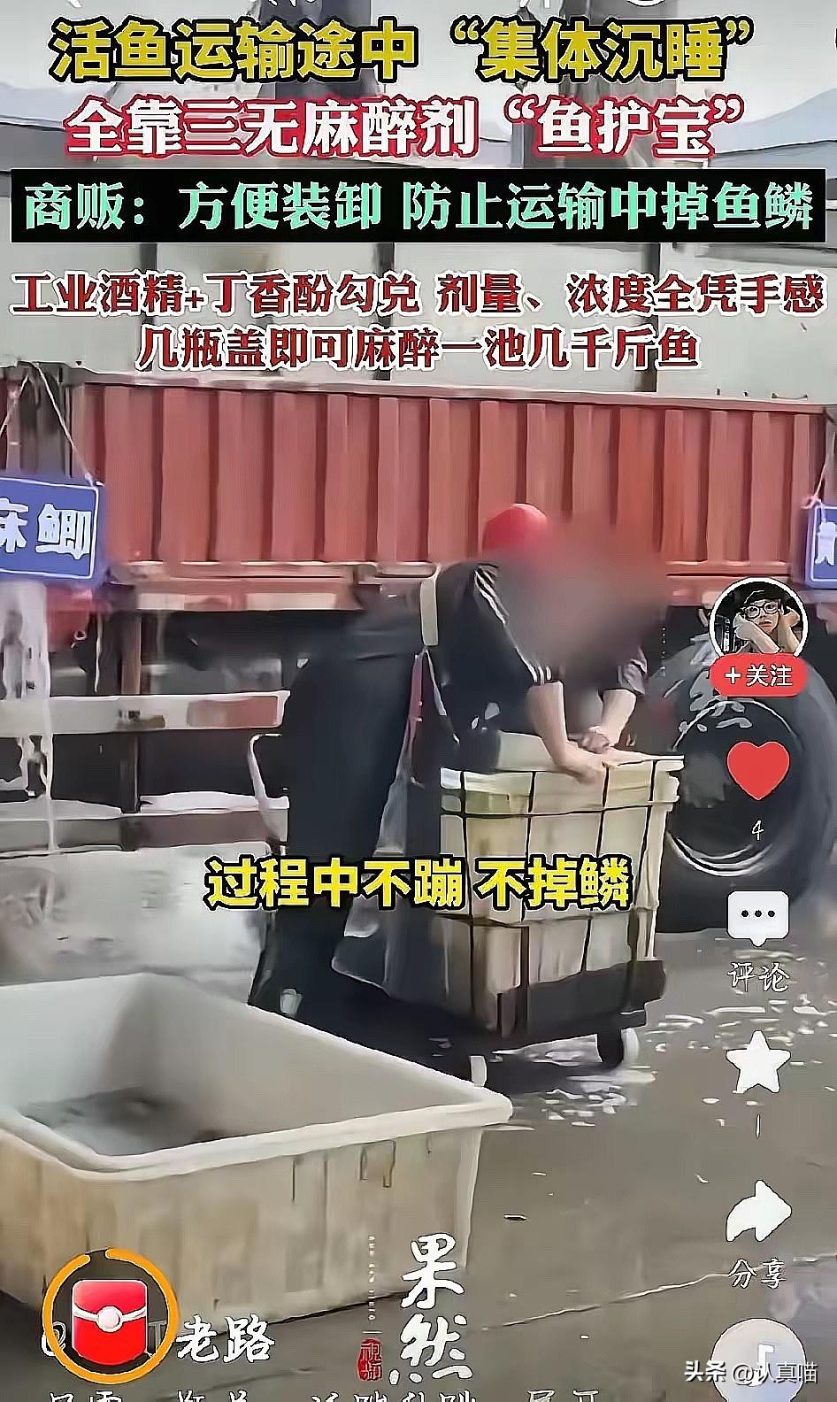 爱吃鱼的朋友，看完这黑幕真想把桌子掀了！多地水产商贩为了让鱼少掉鳞好运输，偷