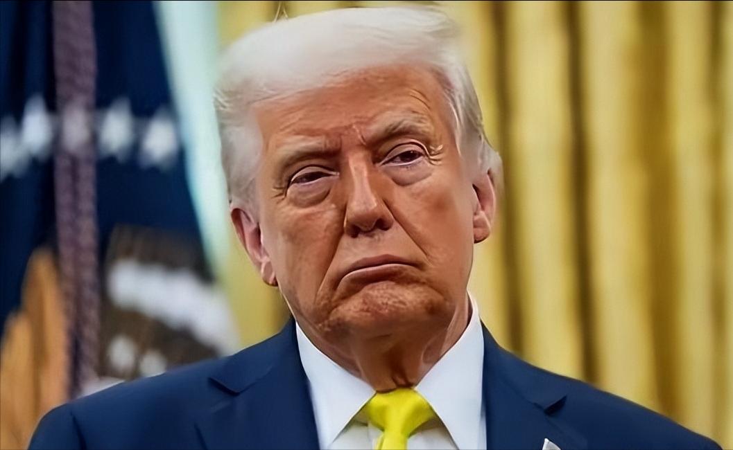 一位日本华人表示“高端轴承、精密仪器、传感器、机器人减速器、碳纤维、光刻胶以及五