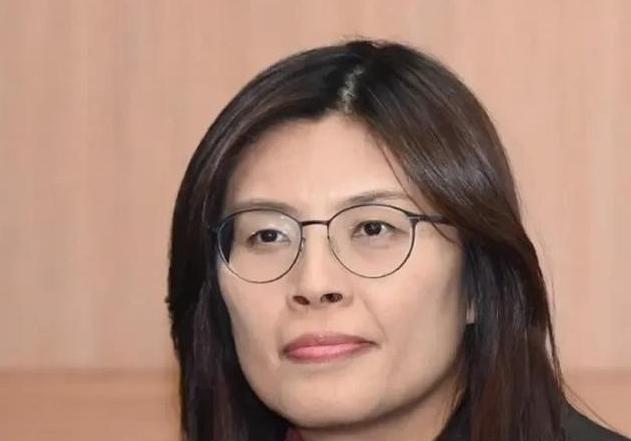 台湾国民党员都拒绝统一，何况台独的民进党？台湾省地方“立委”郑丽文发表言论，让大