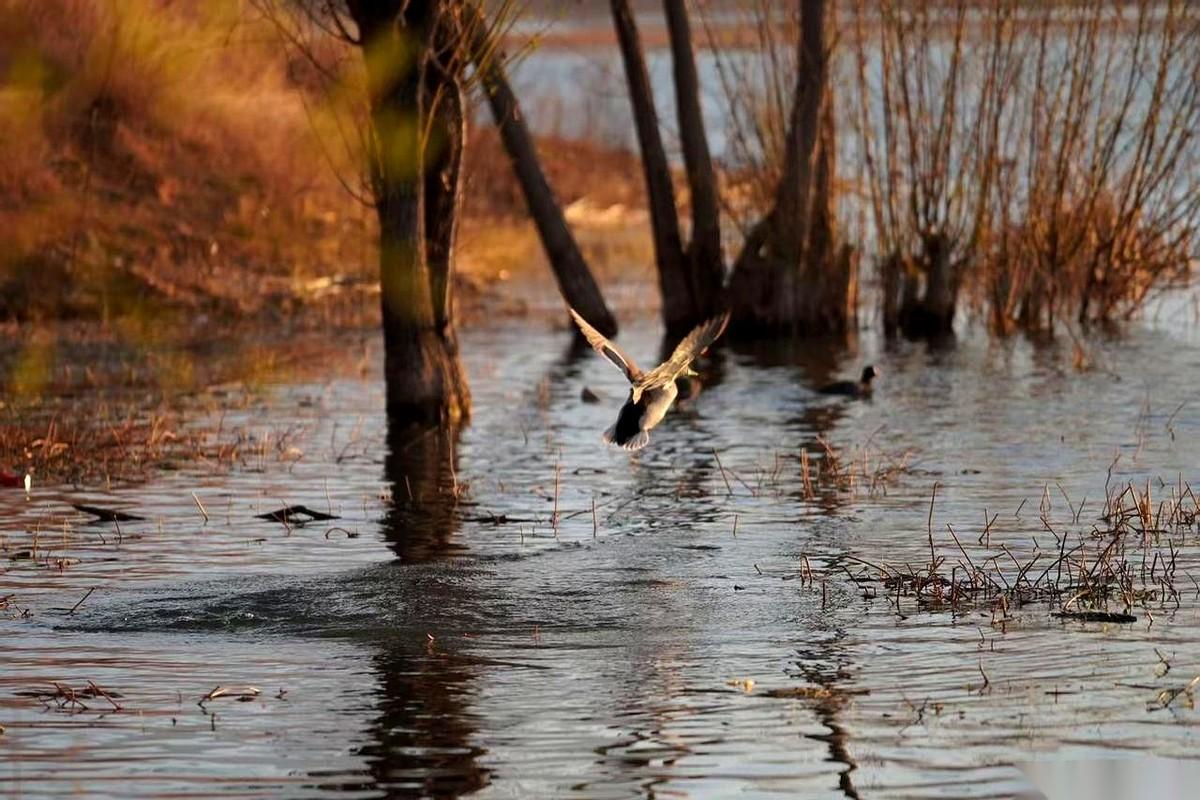 他让我发现外面有人的时候，我第一反应不是天塌了。而是，这事儿，太顺了。顺利到
