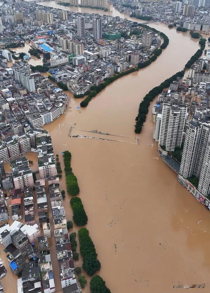 四天四夜一场雨，把肇庆怀集镇基本淹完了，满大街车子没飘起来，猪飘起来了！航拍