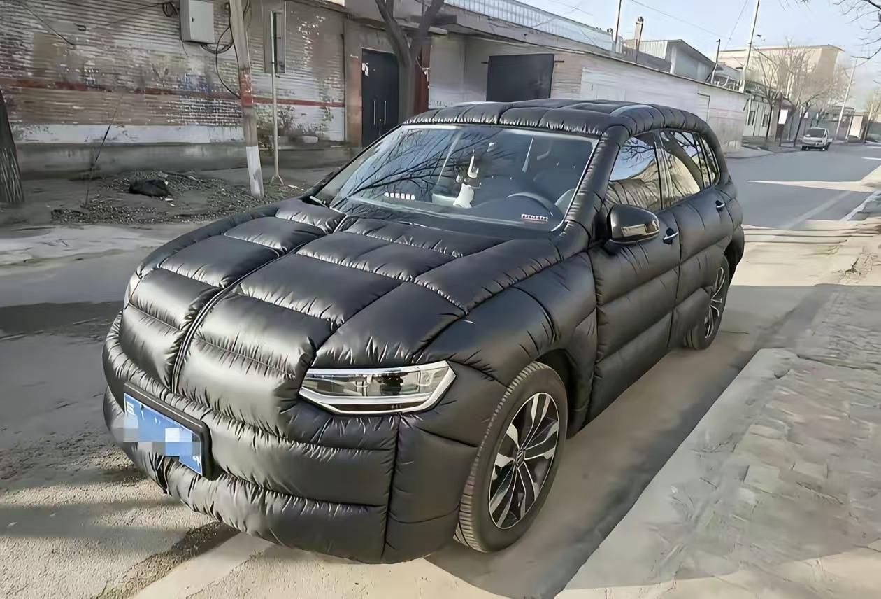 如果这样用车的话，我觉得还是不买为好。这是在网上偶然看到的一张图片，因为车辆已