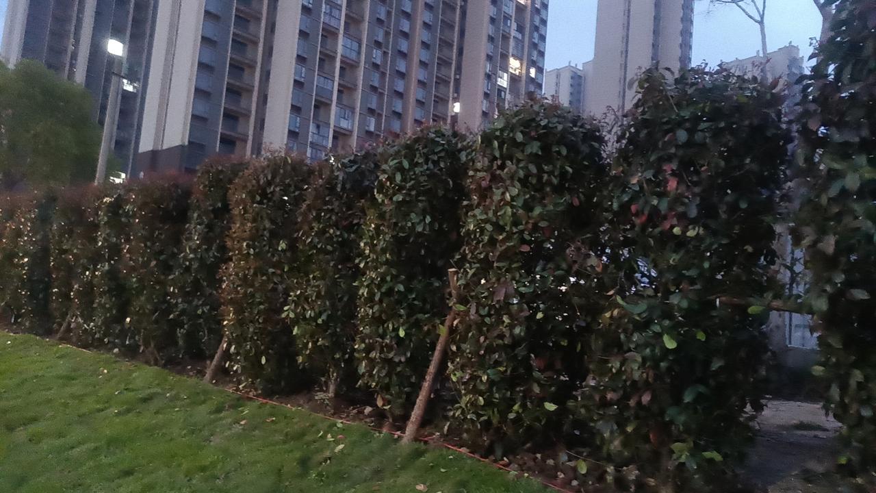 关于“几点睡觉才算熬夜”，其实并没有一个绝对的、适用于所有人的“魔法时间点”。很