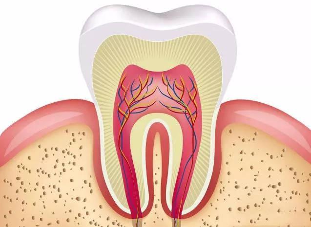 年轻人去医院花的大头，常常是根管治疗的牙冠。自费国产全瓷牙便宜的2000，进口