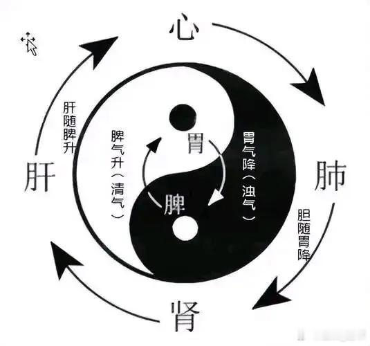 张仲景治肺不传之秘：一宣肺气，二补肾气！两大经方，让肺立刻“舒展开”大多数人一想