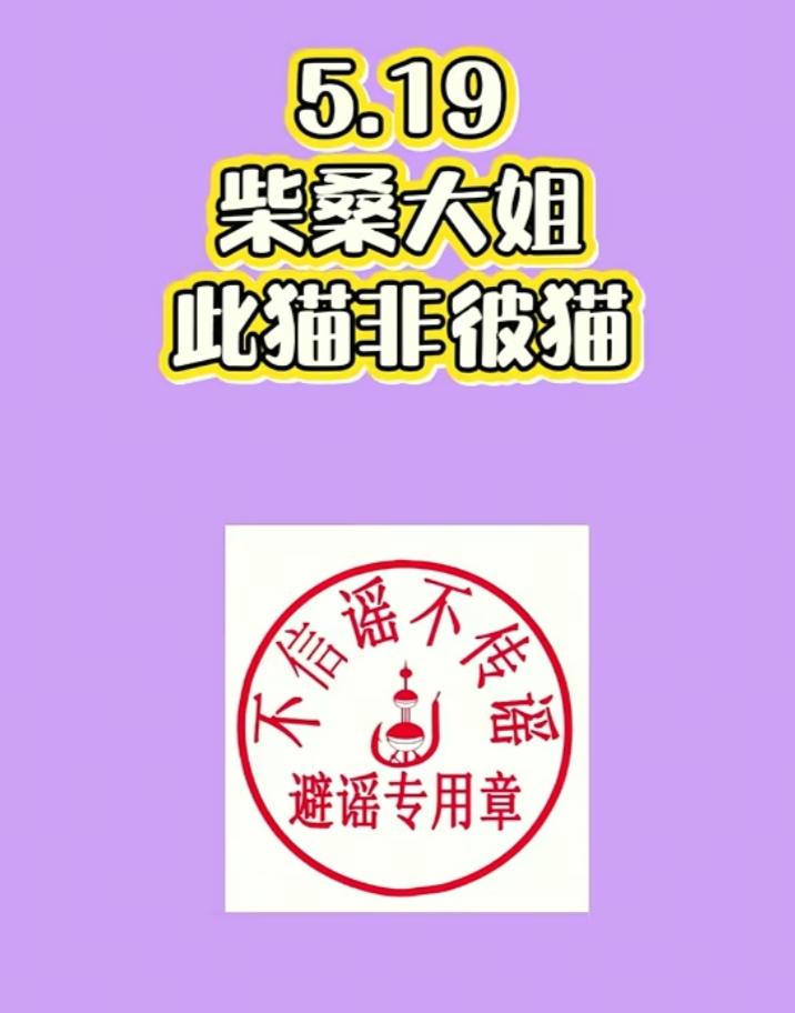 一位网友在公屏上扣字，说猫仔辜负了大姐，柴桑连忙说，此猫非彼猫，大家不要误会。