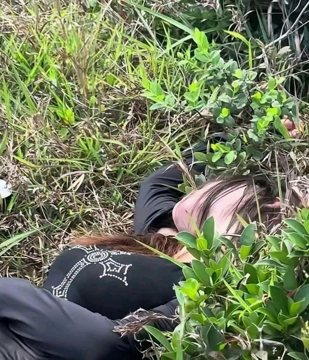 爬山遇东西别慌，慢慢观察安全第一。