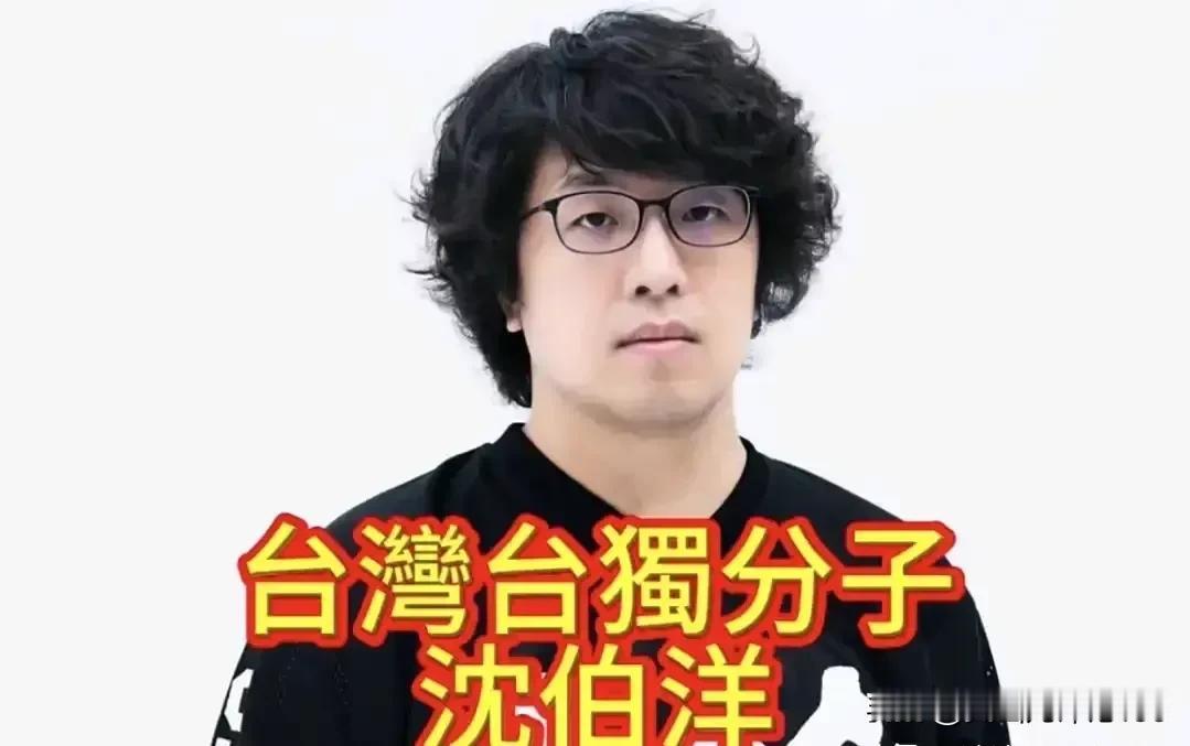 沈伯洋可能支使手下的人殴打新党副秘书长游智彬，原因是游智彬当面指责了汉奸石平，于